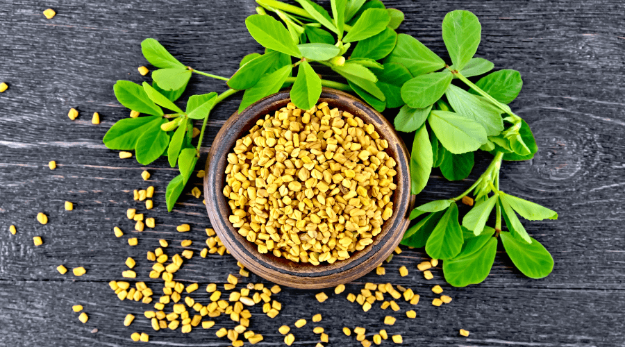 "Fenugreek Marvel: Unleash the power of fenugreek seeds to strengthen and revitalize your hair naturally. Discover the secret to healthier, more resilient locks."